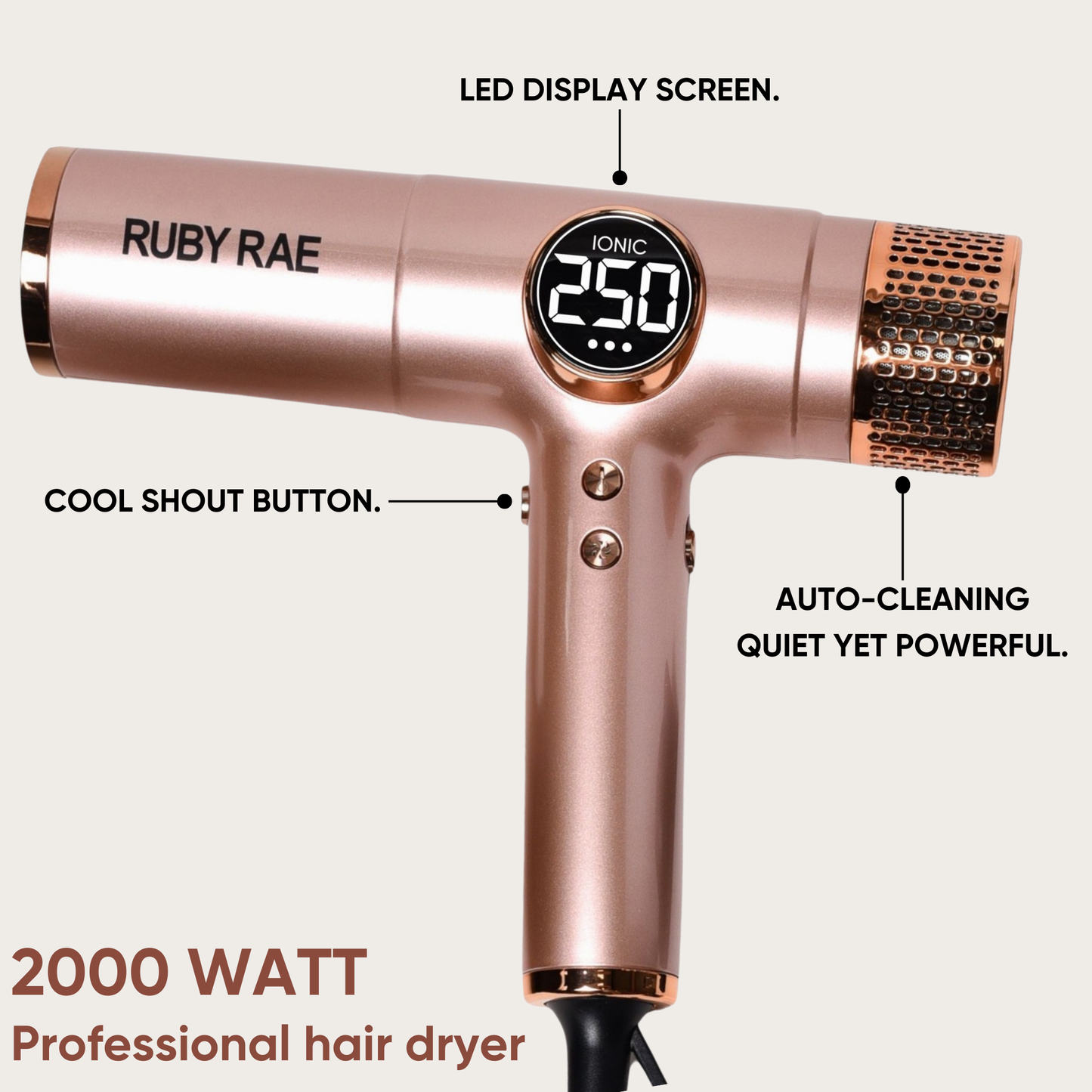 PRO IONIC HAIR DRYER